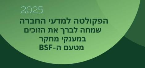 פלייר BSF